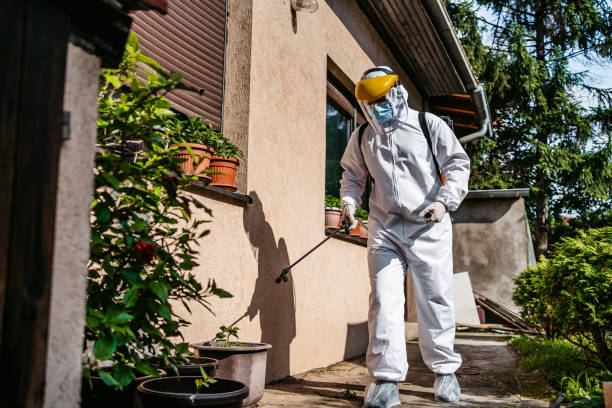 Reliable Cottage Grove, OR Pest Control Solutions